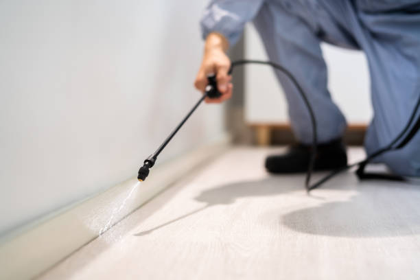Rodent Entry Point Assessment in Livonia