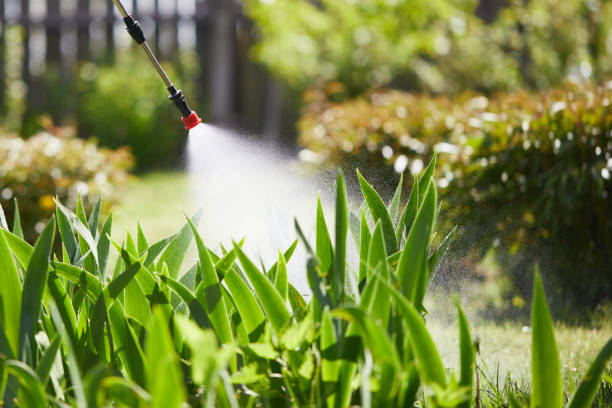 Tamper-Resistant Bait Stations for Rodents in Livonia