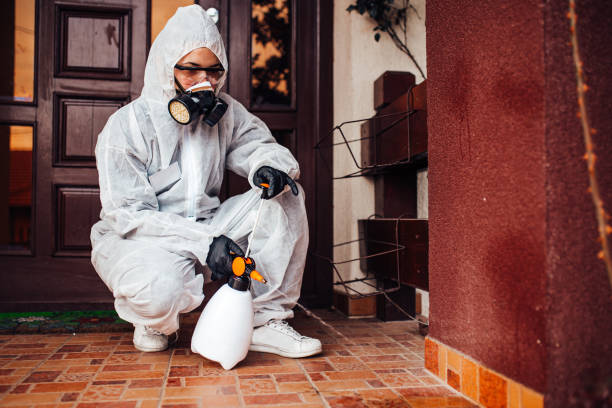 Attic and Crawl Space Rodent Treatment in Livonia
